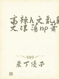 高辣h文乱乳h文浪荡np萧太后