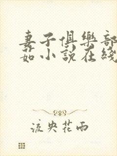 妻子俱乐部张晓茹小说在线阅读