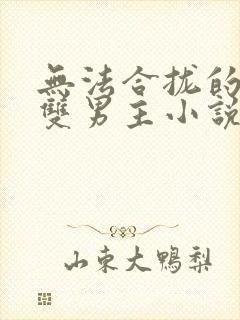 无法合拢的总裁双男主小说