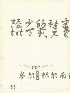 陆少的秘密恋人txt下载免费