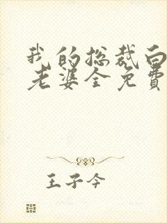 我的总裁白富美老婆全免费的小说