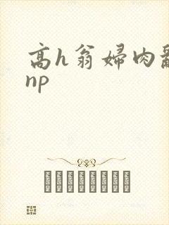 高h翁妇肉乱文np封面