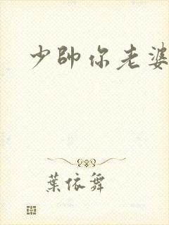少帅你老婆封面