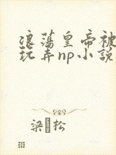 浪荡皇帝被多人玩弄np小说封面