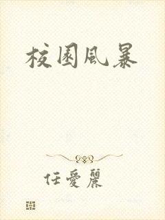 校园风暴封面
