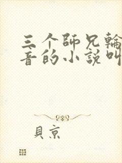 三个师兄轮流上音的小说叫什么