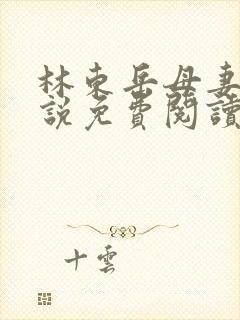 林东岳母妻子小说免费阅读全文无弹窗
