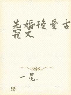 先婚后爱古言甜宠文