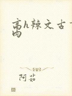 高h辣文古言纯肉