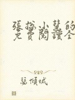 张总小慧的小说免费阅读全文