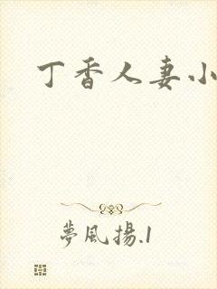 丁香人妻小说