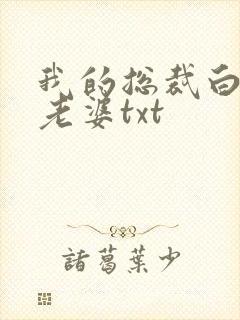 我的总裁白富美老婆txt