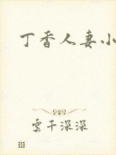 丁香人妻小说
