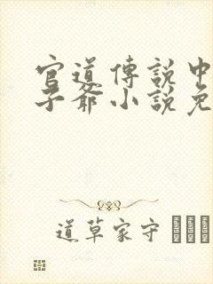 官道传说中的太子爷小说免费阅读