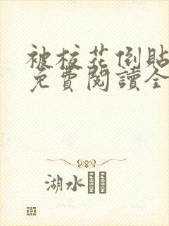 被校花倒贴之后免费阅读全文