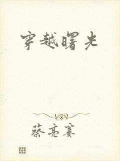 穿越曙光封面
