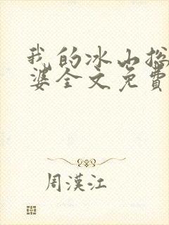 我的冰山总裁老婆全文免费封面