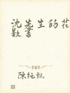 沈先生的花式调数书