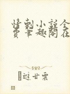 情刺小说全文免费笔趣阁在线阅读