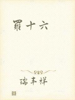 罗十六