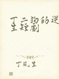 丁二狗的逆袭人生短剧封面