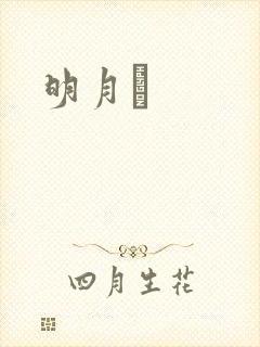 明月珰