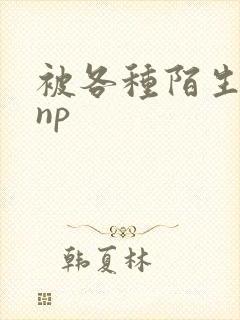被各种陌生人 np封面
