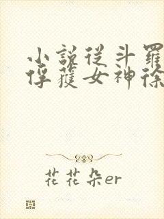 小说从斗罗开始俘获女神徐然/朱竹清全篇