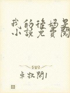 我的后妈是小姨小说免费阅读封面
