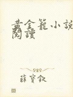 黄金笼小说免费阅读封面