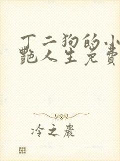 丁二狗的小说猎艳人生免费阅读全文