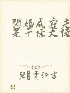闪婚成宠老公竟是千亿大佬小说封面