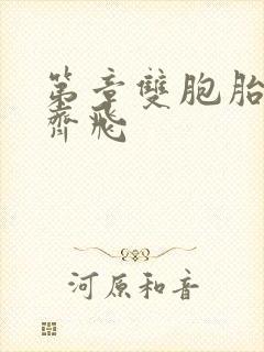 第章双胞胎姐妹齐飞
