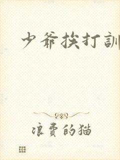 少爷挨打训诫文