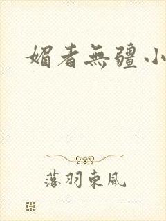 媚者无疆小说封面