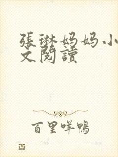 张琳妈妈小说全文阅读封面