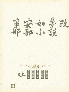 宁安如梦改编自哪部小说