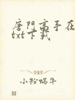 唐门高手在异世txt下载封面