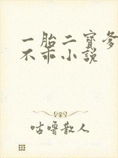 一胎二宝爹地你不乖小说