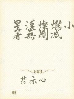 星汉灿烂小说原著无删减