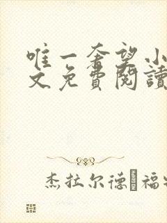 唯一奢望小说全文免费阅读