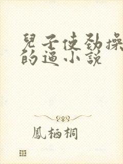 儿子使劲操妈妈的逼小说封面