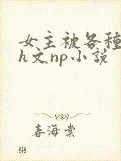 女主被各种调教h文np小说封面