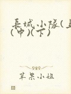 长城小队(上)(中)(下)封面