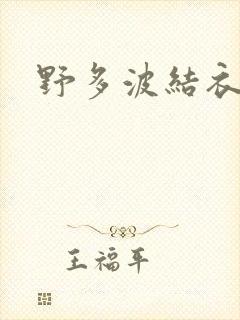 野多波结衣