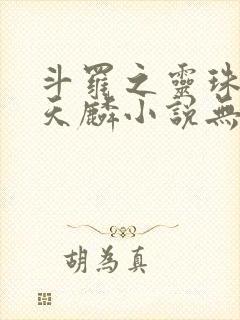 斗罗之灵珠神剑天麟小说无弹窗封面