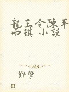 龙王令陈平,苏雨琪 小说