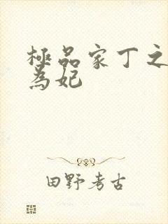 极品家丁之册母为妃