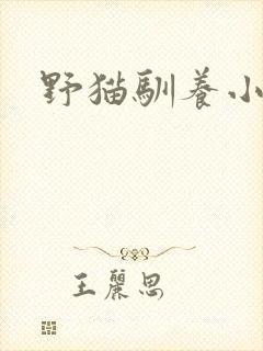 野猫驯养小说