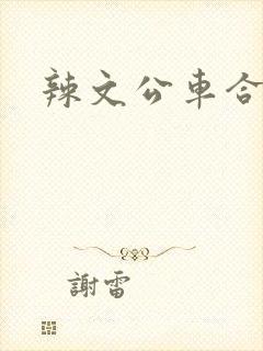 辣文公车合集